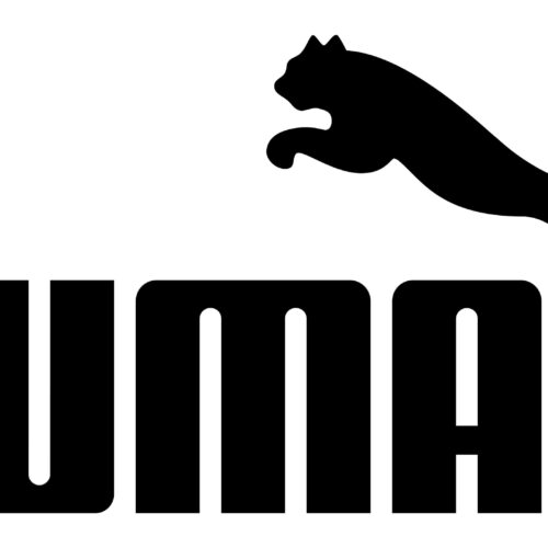 Catálogo team PUMA 2022